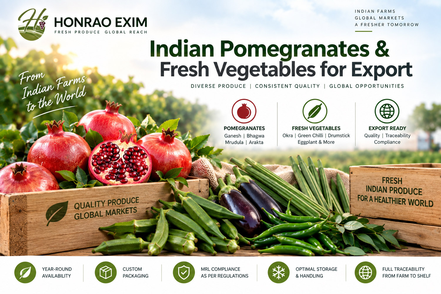 Indian Pomegranates and Fresh Vegetables for Export