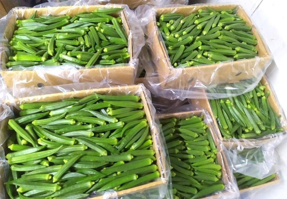 okra
